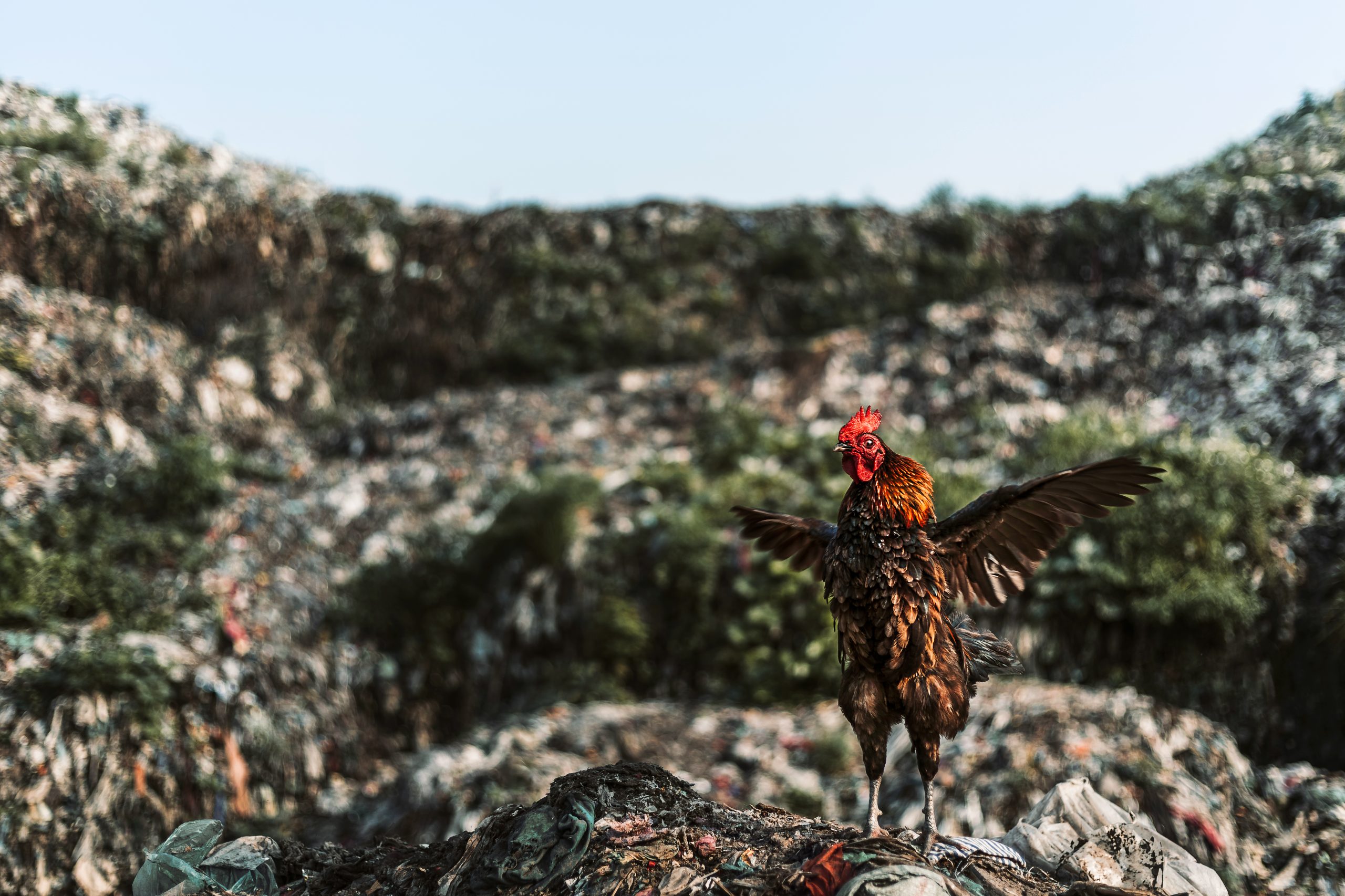 SyedNaem.com HomePage Photo 8